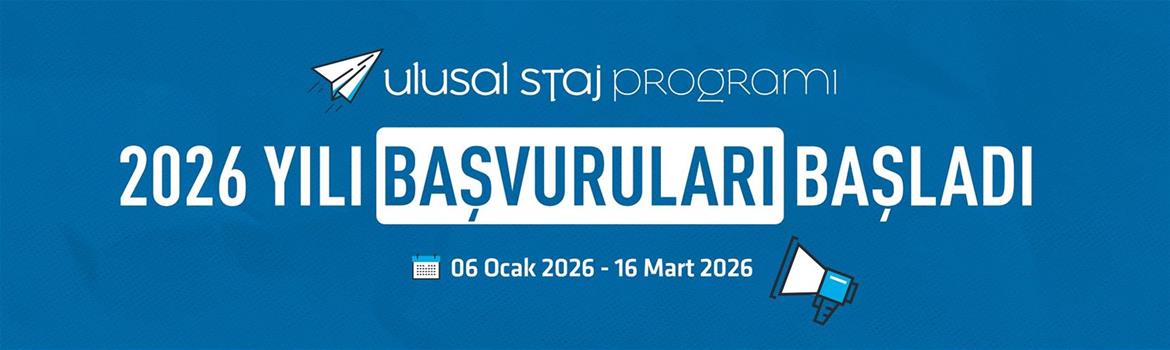 Ulusal Staj Programı
